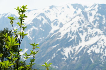 信州、北アルプス、青木湖。こんな晴れた日に巡り合えた。