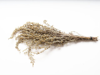 dry medicinal plant wormwood close up