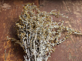 dry medicinal plant wormwood close up