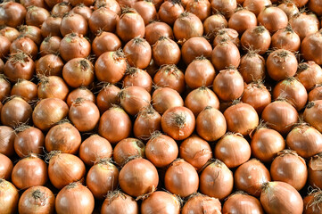 Onion for sale at vegetable market, close up. Boxes full of onions in shop. Onions at the greengrocer's stall. Vegetable.