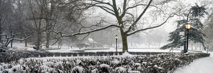 Central Park in winter  snow storm
