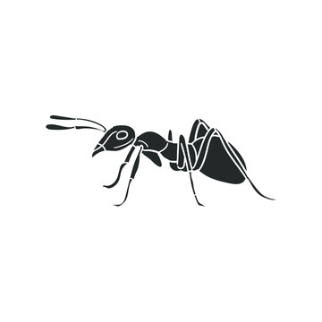 Ant Icon Silhouette Illustration. Insect Small Vector Graphic Pictogram Symbol Clip Art. Doodle Sketch Black Sign.