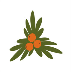 Holly berries. Winter greens with berries. Vector illustration. Flat style. Vintage festive element. Isolated on white background.
