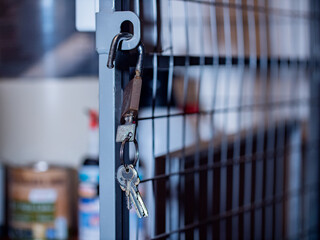 Open padlock hangs on a grid door in the basement.