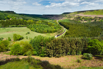 Steam train cuts through moors with woodland on bright spring morning . Goathland, UK.