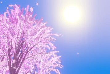 Fototapeta na wymiar 太陽に照らされる美しい桜の木