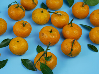 orange or Citrus sp with leaves isolated on blue background