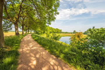 Fototapeta na wymiar Picturesque landscape with trees and a curving sandy path along a lake. The photo was taken in the Dutch province of North Brabant on a partly cloudy day in the spring season.