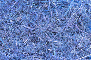 Hay background or texture, dried grass, toned in violet color, horizontal, top view