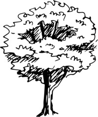 illustration tree sketch icon
