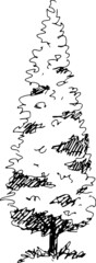 illustration tree sketch icon