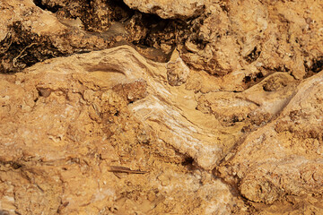 selective focus on natural rock background. Sedimentary rock layers