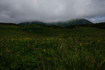 fog in the mountains