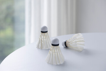 Shuttlecock made of goose feathers. Shuttlecock used for badminton.