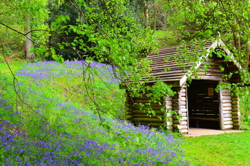 old house in the woods