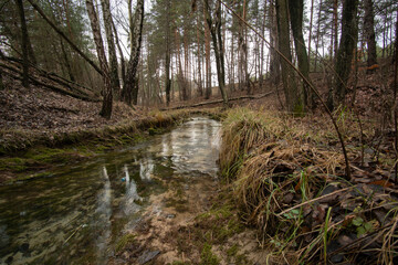 Fototapeta premium Rzeka Sztoła po wyłączeniu odwodnienia kopalni, zanik wód - stan 17.12.2021