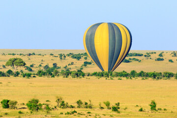 Obraz premium Air balloon that has landed on the African savannah
