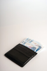 One hundred Turkish Lira white background