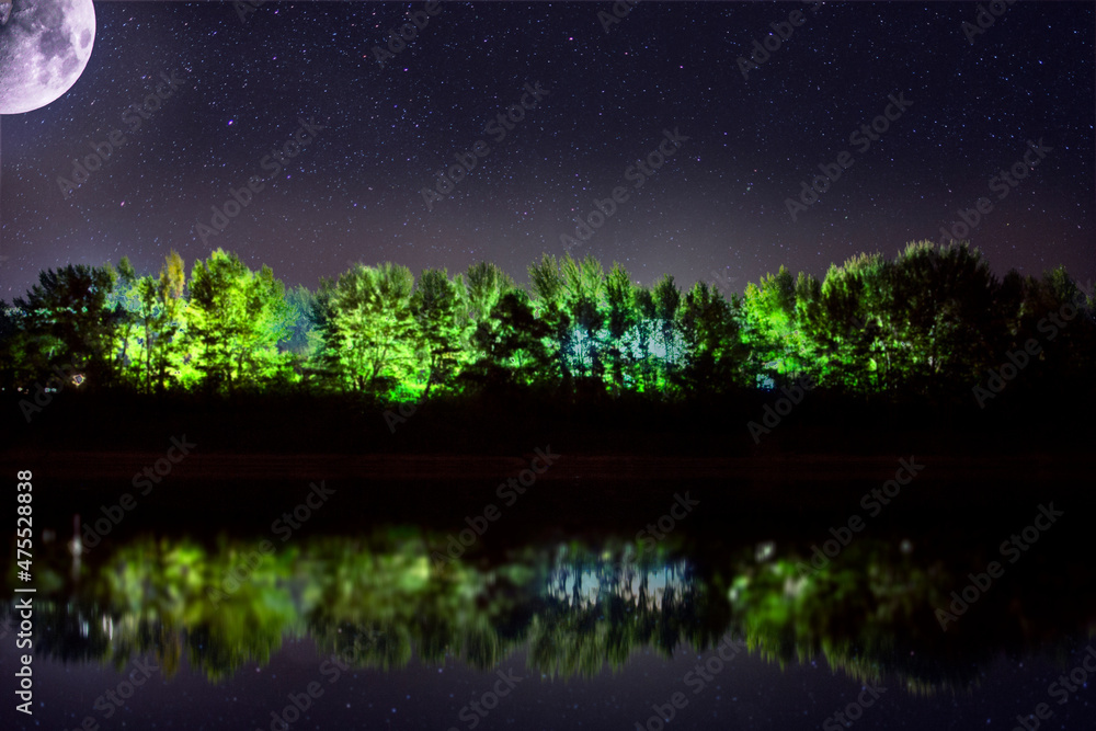 Wall mural the night sky with the moon on the background of the forest. space for copying text