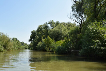 Landscape on a navigable canal surrounded by vegetation in the Danube Delta, Romania