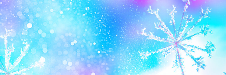 Blurred frozen grass. Winter abstract background. Landscape.