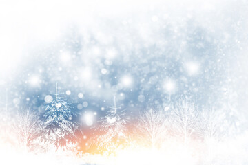 Christmas greeting card. Frozen winter forest with snow covered trees.