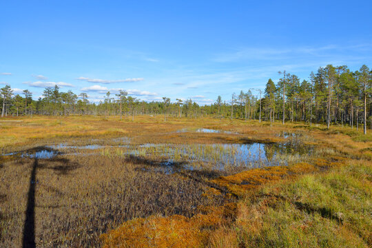 Hamra Bilder Durchsuchen 1,019 Archivfotos, und Videos
