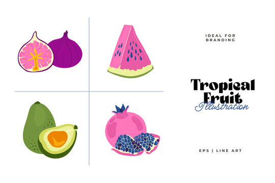 Tropical fruit and graphic design elements collection. Ingredients color cliparts. Sketch style smoothie or juice ingredients.