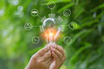 Light bulb Energy saving green nature background