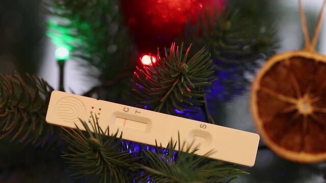 Rapid antigen self-test with a negative result on the branches of a Christmas tree. Colored Christmas lights twinkle in the background. Preventing the spread of covid-19 during the holidays.