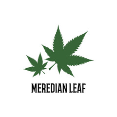 cannabis leaf vector illustration