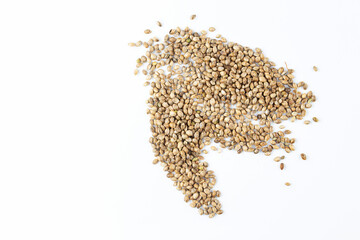 Dried hemp seeds