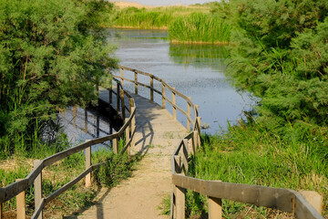Scenery of the Azraq Wetlands Reserve in the town of Azraq in the eastern desert of Jordan