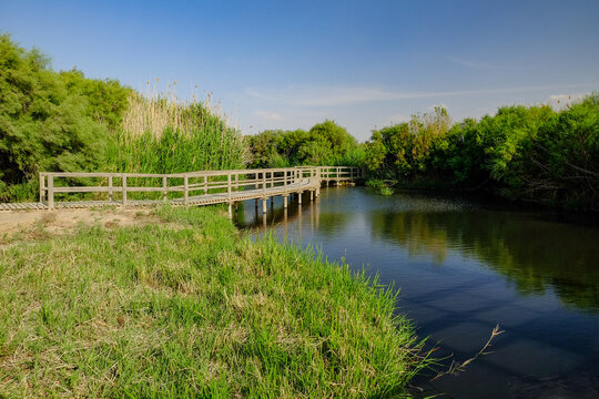 Scenery of the Azraq Wetlands Reserve in the town of Azraq in the eastern desert of Jordan