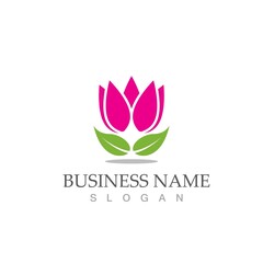 Beauty Vector lotus flowers