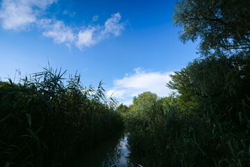 Fototapeta premium Landscape from the water of the amazing Danube Delta in Romania during a beautiful sunny day with blue sky. Cruising on its channels.