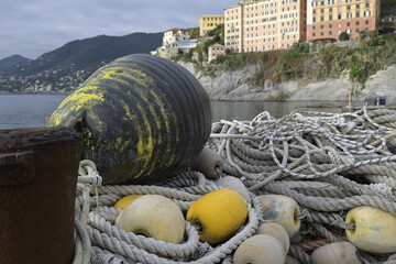 Reti a Camogli