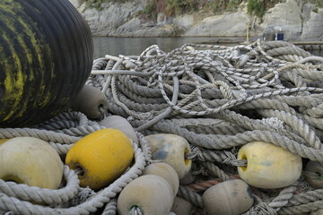 Reti a Camogli