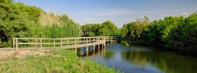 Panoramic shot of the Azraq Wetlands Reserve in the town of Azraq in the eastern desert of Jordan