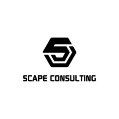 s letter hexagons abstract logo design