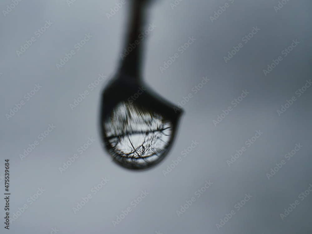 Poster macro shot of a raindrop hanging on a twig against a blurred background