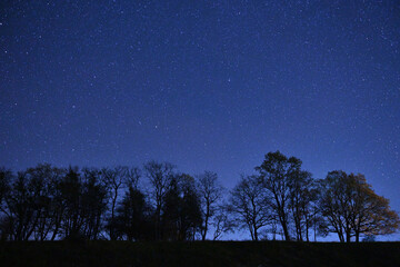 Beautiful night sky over trees - 475539674