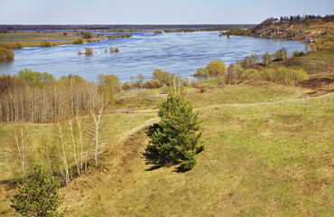 Fototapeta na wymiar Oka river in Konstantinovo village. Ryazan oblast. Russia