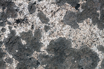 black spots of moss on the stone