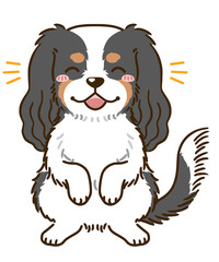 喜ぶキャバリア（トライカラー）