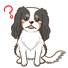 疑問に思うキャバリア（トライカラー）