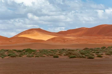 Fototapeten Dunes after a rain in the Sahara desert © JoseMaria