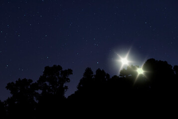 Two UFOs coming in just over the trees