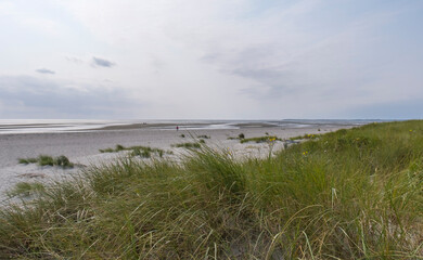 Fototapeta na wymiar Blick über Dünen auf die Küste, Föhr