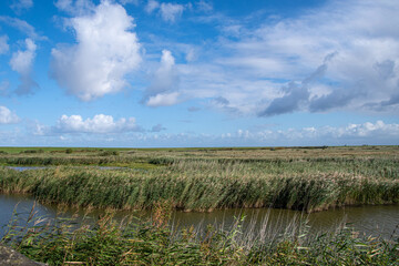 Im Naturschutzgebiet Leyhörn bei Greetsiel